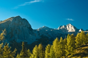 Spletna stran Triglavski narodni park 