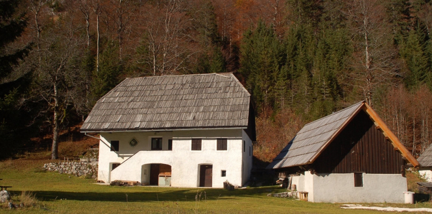 Stone buildings in the Primorska region