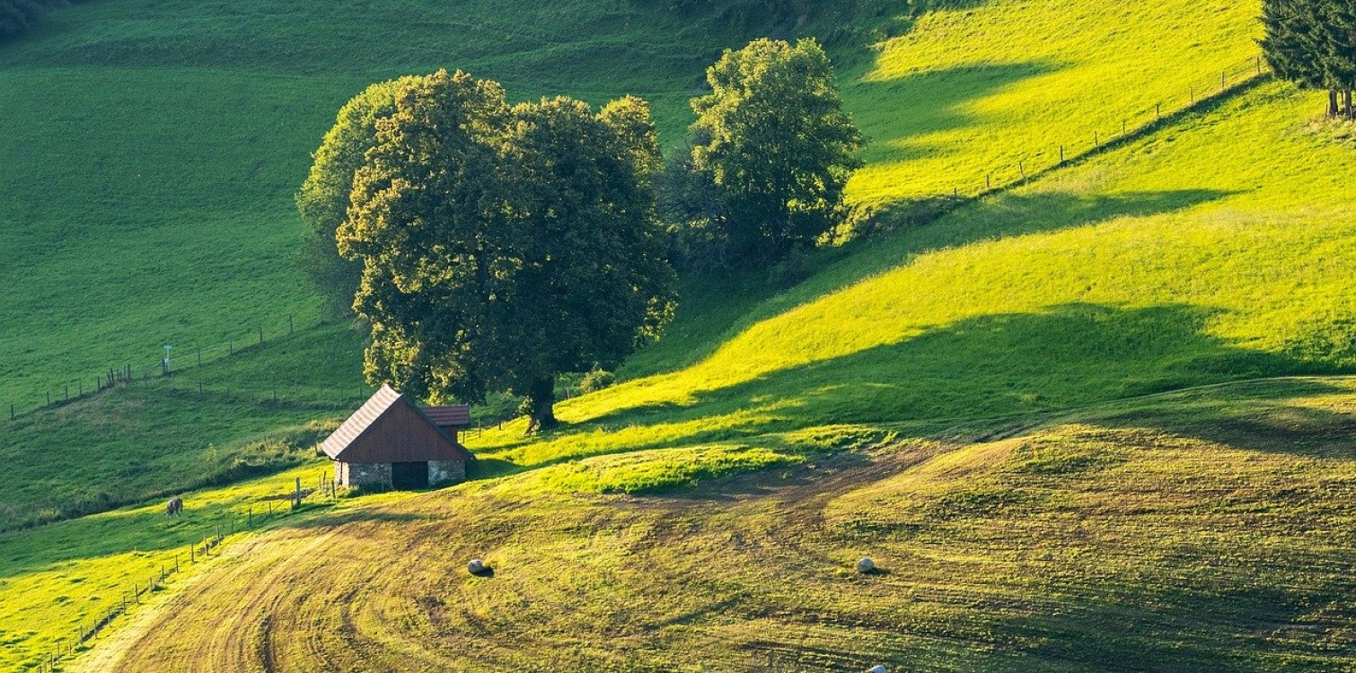 O tradicionalni in intenzivni rabi