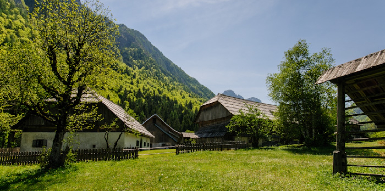 Radovna Valley