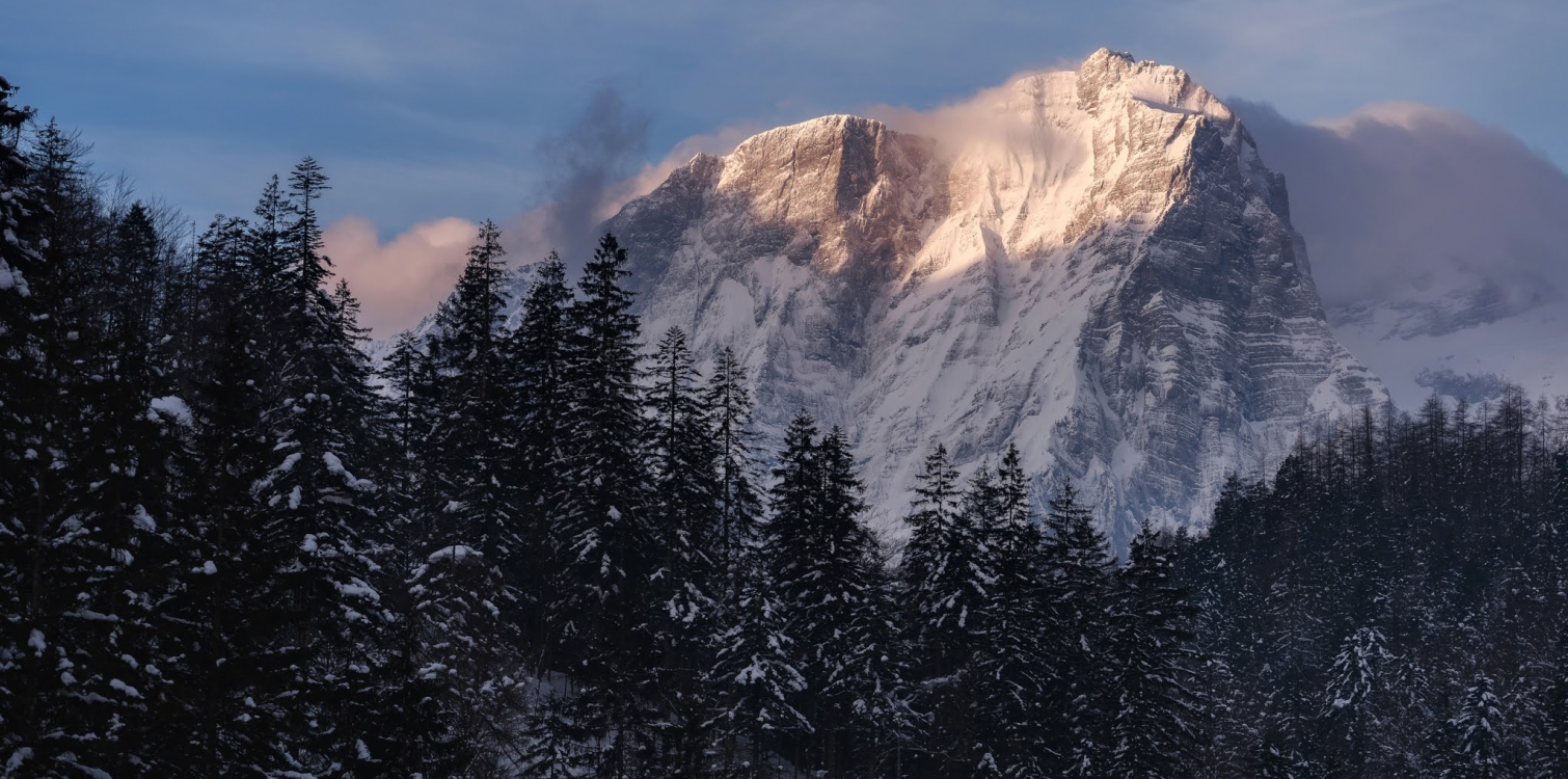 Winter forest face