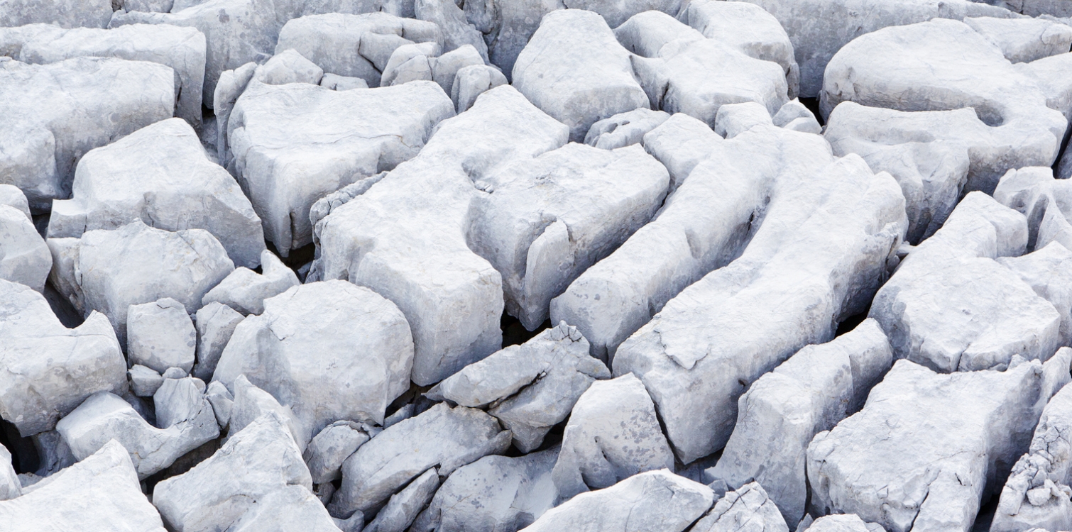 Karst features in the alpine karst